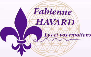 Logo_Lys et vos émotions